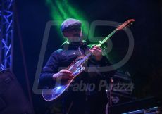 FABI0038-16