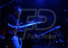 FABI9682-169