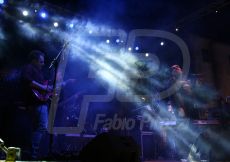FABI9687-173