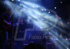 FABI9689-175