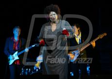 FABI0085