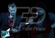 FABI0441