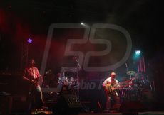FABI0195