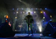 FABI0461