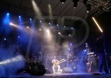 FABI0545