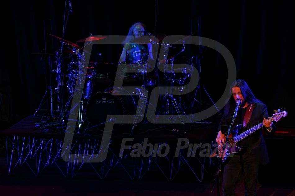 FABI3082-37