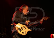 FABI0084