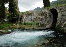 OASI DI NINFA