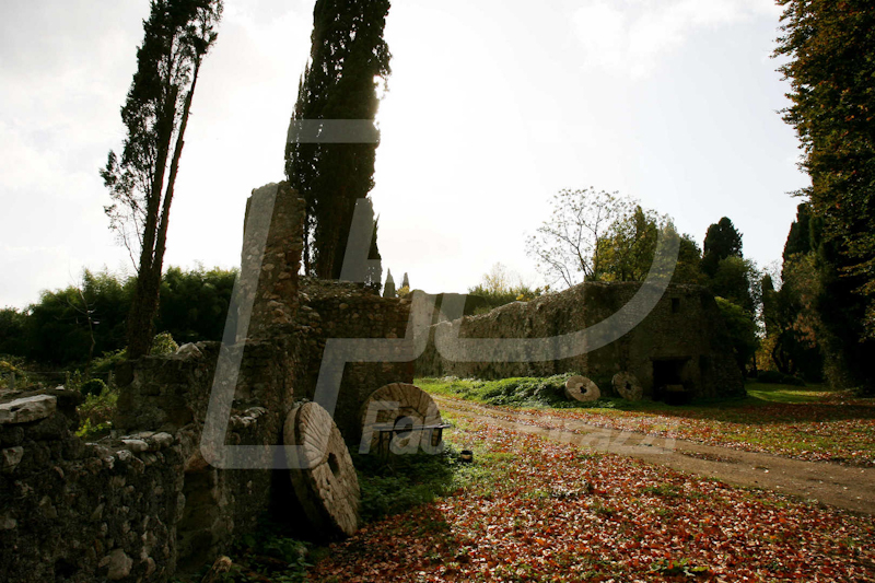 NINFA40