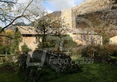 NINFA48