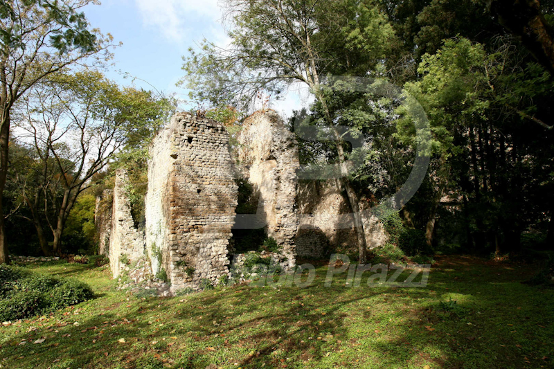 NINFA50