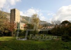 NINFA58