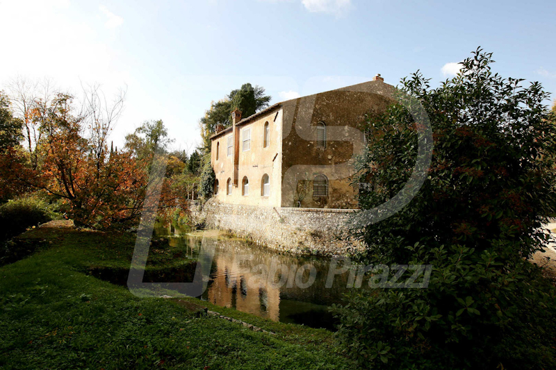 NINFA62