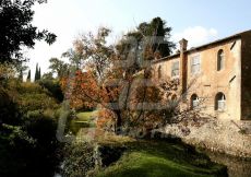 NINFA63