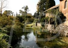 NINFA67