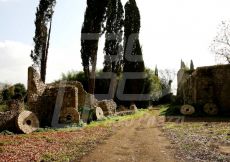 NINFA69