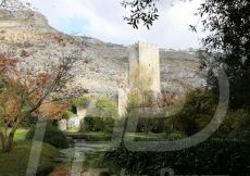 NINFA74