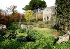 NINFA82