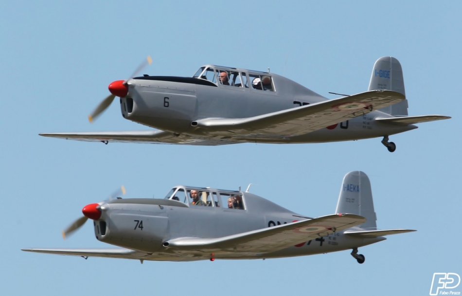 FABI1179-12