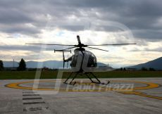FABI1446