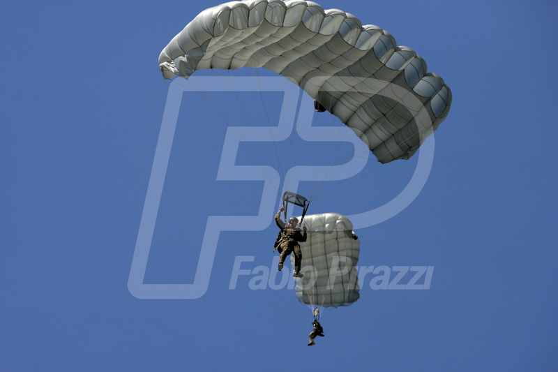 FABI0010