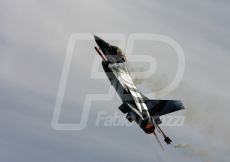 FABI0317