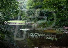 _ABI5576-37