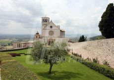 ASSISI49