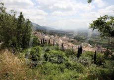 ASSISI