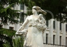 PALAZZO_M23