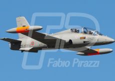 BASE FRECCE TRICOLORI DI RIVOLTO,55 ANNIVERSARIO FRECCE TRICOLORI 2015,AEREI MILITARI,AERONAUTICA SPORTIVA.
