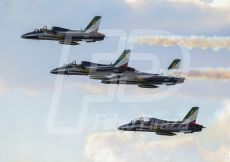 BASE FRECCE TRICOLORI DI RIVOLTO,55 ANNIVERSARIO FRECCE TRICOLORI 2015,AEREI MILITARI,AERONAUTICA SPORTIVA.