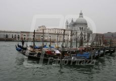 VENEZIA103