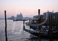 VENEZIA293