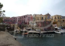 VENTOTENE50_