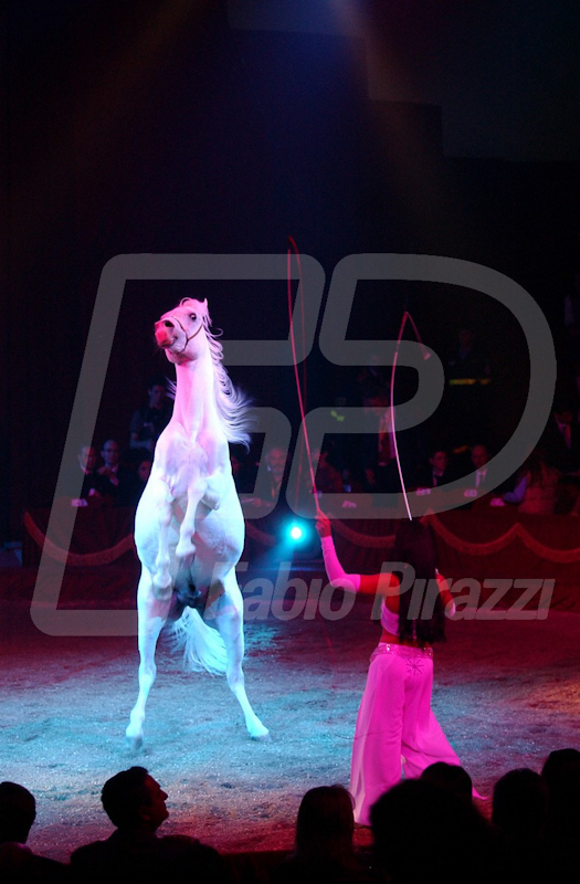 CIRCO123