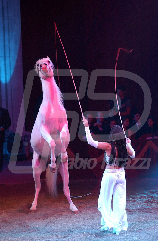 CIRCO124