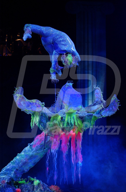 CIRCO132