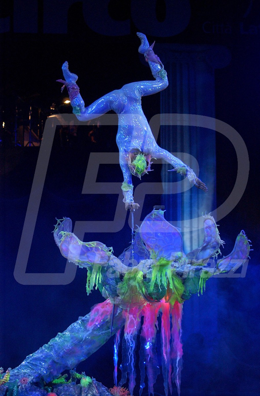 CIRCO133