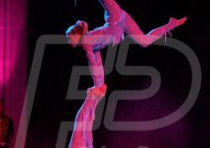 CIRCO166