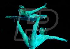 CIRCO167