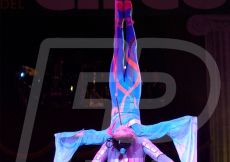 CIRCO174
