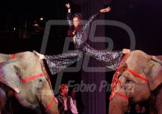 CIRCO181