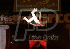 CIRCO193