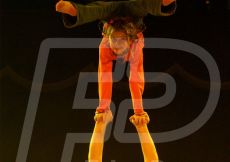 CIRCO196