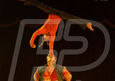 CIRCO197