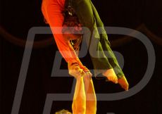 CIRCO200