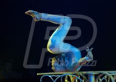 CIRCO225