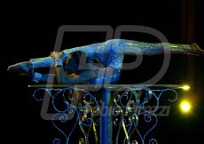 CIRCO226