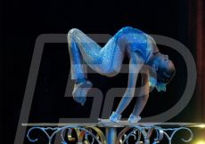 CIRCO227